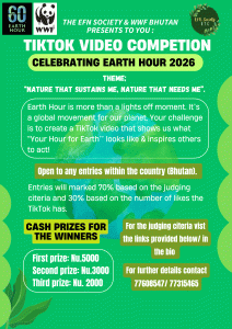 Celebrating Earth Hour 2026