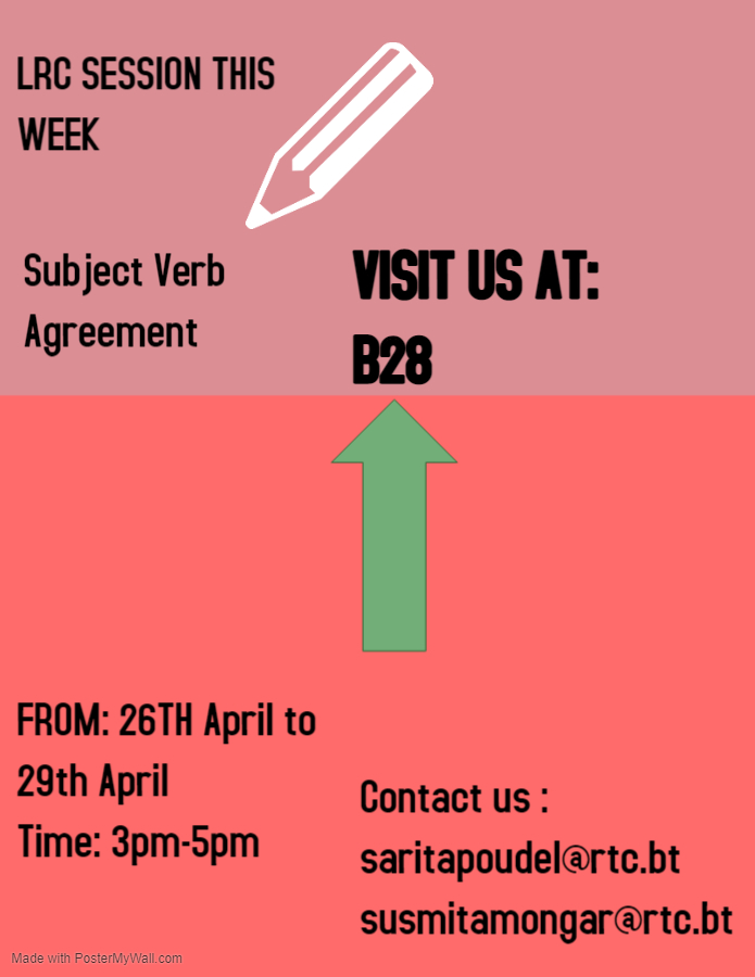 Subject verb Agreement Flyer